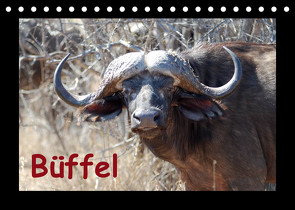 Büffel (Tischkalender 2023 DIN A5 quer) von Ohm,  Britta