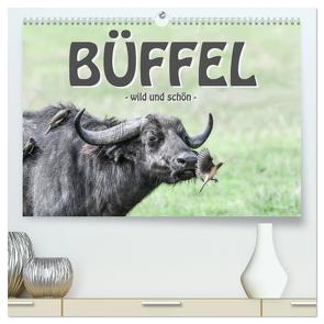 Büffel – wild und schön (hochwertiger Premium Wandkalender 2024 DIN A2 quer), Kunstdruck in Hochglanz von Styppa,  Robert