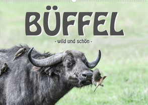 Büffel – wild und schön (Wandkalender 2023 DIN A2 quer) von Styppa,  Robert