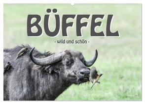 Büffel – wild und schön (Wandkalender 2024 DIN A2 quer), CALVENDO Monatskalender von Styppa,  Robert