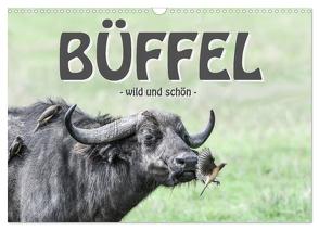 Büffel – wild und schön (Wandkalender 2024 DIN A3 quer), CALVENDO Monatskalender von Styppa,  Robert