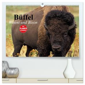 Büffel. Wisent und Bison (hochwertiger Premium Wandkalender 2024 DIN A2 quer), Kunstdruck in Hochglanz von Stanzer,  Elisabeth