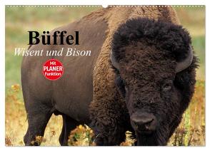 Büffel. Wisent und Bison (Wandkalender 2024 DIN A2 quer), CALVENDO Monatskalender von Stanzer,  Elisabeth