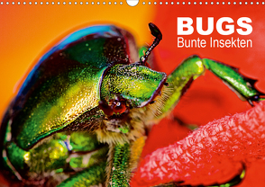 BUGS, Bunte Insekten (Wandkalender 2021 DIN A3 quer) von Bertolini,  Hannes