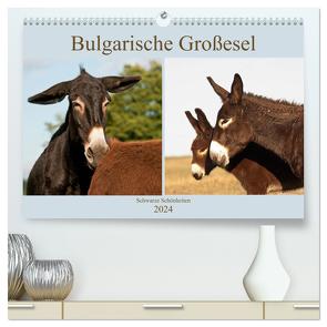 Bulgarische Großesel – Schwarze Schönheiten (hochwertiger Premium Wandkalender 2024 DIN A2 quer), Kunstdruck in Hochglanz von Bölts,  Meike