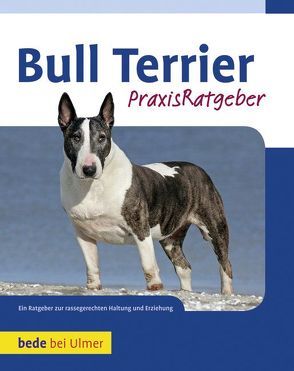 Bull Terrier von Gibson,  Bethany