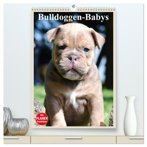 Bulldoggen-Babys (hochwertiger Premium Wandkalender 2024 DIN A2 hoch), Kunstdruck in Hochglanz von Stanzer,  Elisabeth