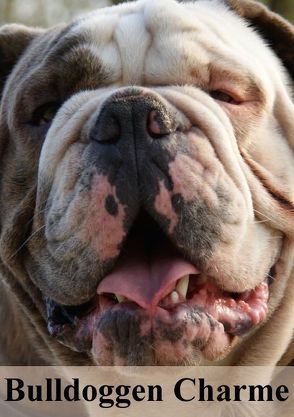 Bulldoggen Charme (Posterbuch DIN A2 hoch) von Stanzer,  Elisabeth