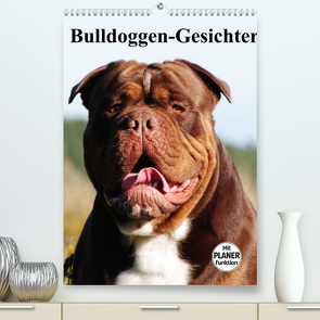 Bulldoggen-Gesichter (Premium, hochwertiger DIN A2 Wandkalender 2022, Kunstdruck in Hochglanz) von Stanzer,  Elisabeth