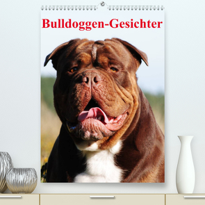 Bulldoggen-Gesichter (Premium, hochwertiger DIN A2 Wandkalender 2023, Kunstdruck in Hochglanz) von Stanzer,  Elisabeth