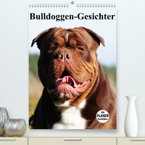 Bulldoggen-Gesichter (Premium, hochwertiger DIN A2 Wandkalender 2023, Kunstdruck in Hochglanz) von Stanzer,  Elisabeth