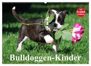 Bulldoggen-Kinder (Wandkalender 2024 DIN A2 quer), CALVENDO Monatskalender von Stanzer,  Elisabeth