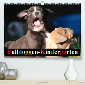 Bulldoggen-Kindergarten (Premium, hochwertiger DIN A2 Wandkalender 2023, Kunstdruck in Hochglanz) von Stanzer,  Elisabeth