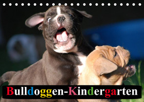 Bulldoggen-Kindergarten (Tischkalender 2023 DIN A5 quer) von Stanzer,  Elisabeth