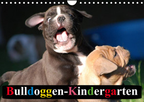 Bulldoggen-Kindergarten (Wandkalender 2023 DIN A4 quer) von Stanzer,  Elisabeth