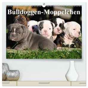 Bulldoggen-Moppelchen (hochwertiger Premium Wandkalender 2024 DIN A2 quer), Kunstdruck in Hochglanz von Stanzer,  Elisabeth