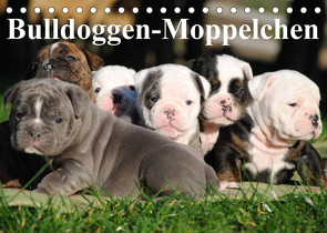 Bulldoggen-Moppelchen (Tischkalender 2023 DIN A5 quer) von Stanzer,  Elisabeth