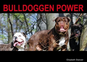 Bulldoggen Power (Posterbuch DIN A3 quer) von Stanzer,  Elisabeth