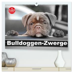 Bulldoggen-Zwerge (hochwertiger Premium Wandkalender 2024 DIN A2 quer), Kunstdruck in Hochglanz von Stanzer,  Elisabeth