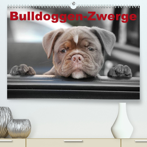 Bulldoggen-Zwerge (Premium, hochwertiger DIN A2 Wandkalender 2023, Kunstdruck in Hochglanz) von Stanzer,  Elisabeth