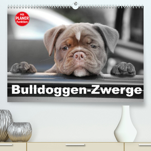 Bulldoggen-Zwerge (Premium, hochwertiger DIN A2 Wandkalender 2023, Kunstdruck in Hochglanz) von Stanzer,  Elisabeth