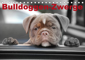 Bulldoggen-Zwerge (Tischkalender 2023 DIN A5 quer) von Stanzer,  Elisabeth