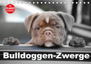 Bulldoggen-Zwerge (Tischkalender 2023 DIN A5 quer) von Stanzer,  Elisabeth