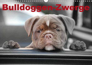 Bulldoggen-Zwerge (Wandkalender 2023 DIN A3 quer) von Stanzer,  Elisabeth