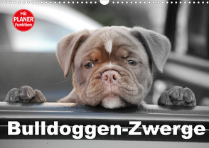 Bulldoggen-Zwerge (Wandkalender 2023 DIN A3 quer) von Stanzer,  Elisabeth