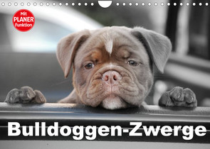 Bulldoggen-Zwerge (Wandkalender 2023 DIN A4 quer) von Stanzer,  Elisabeth