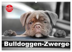 Bulldoggen-Zwerge (Wandkalender 2024 DIN A2 quer), CALVENDO Monatskalender von Stanzer,  Elisabeth