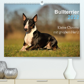 Bullterrier 2022 – Kleine Clowns mit großem Herz (Premium, hochwertiger DIN A2 Wandkalender 2022, Kunstdruck in Hochglanz) von Janetzek,  Yvonne