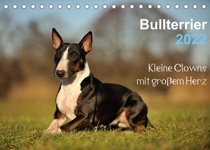 Bullterrier 2022 – Kleine Clowns mit großem Herz (Tischkalender 2022 DIN A5 quer) von Janetzek,  Yvonne