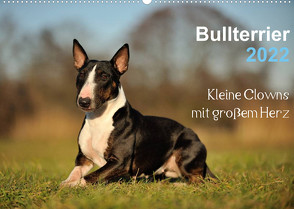 Bullterrier 2022 – Kleine Clowns mit großem Herz (Wandkalender 2022 DIN A2 quer) von Janetzek,  Yvonne