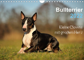 Bullterrier 2022 – Kleine Clowns mit großem Herz (Wandkalender 2022 DIN A4 quer) von Janetzek,  Yvonne