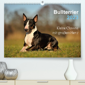 Bullterrier 2023 – Kleine Clowns mit großem Herz (Premium, hochwertiger DIN A2 Wandkalender 2023, Kunstdruck in Hochglanz) von Janetzek,  Yvonne