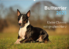 Bullterrier 2023 – Kleine Clowns mit großem Herz (Wandkalender 2023 DIN A2 quer) von Janetzek,  Yvonne