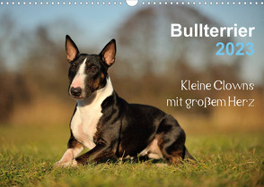 Bullterrier 2023 – Kleine Clowns mit großem Herz (Wandkalender 2023 DIN A3 quer) von Janetzek,  Yvonne