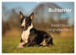 Bullterrier 2024 – Kleine Clowns mit großem Herz (Wandkalender 2024 DIN A2 quer), CALVENDO Monatskalender von Janetzek,  Yvonne