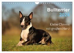 Bullterrier 2024 – Kleine Clowns mit großem Herz (Wandkalender 2024 DIN A4 quer), CALVENDO Monatskalender von Janetzek,  Yvonne