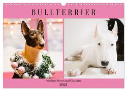 Bullterrier. Freudiges Wesen und Charakter (Wandkalender 2024 DIN A3 quer), CALVENDO Monatskalender von Hurley,  Rose