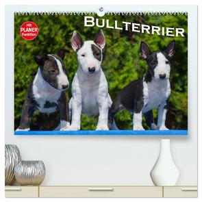 Bullterrier (hochwertiger Premium Wandkalender 2024 DIN A2 quer), Kunstdruck in Hochglanz von Bullterrier,  Bullterrier