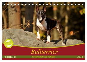 Bullterrier, Powerpakete auf 4 Pfoten (Tischkalender 2024 DIN A5 quer), CALVENDO Monatskalender von Janetzek,  Yvonne