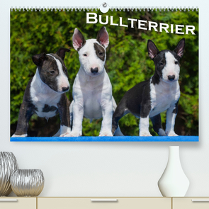 Bullterrier (Premium, hochwertiger DIN A2 Wandkalender 2022, Kunstdruck in Hochglanz) von Bullterrier