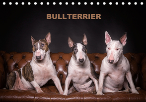 Bullterrier (Tischkalender 2021 DIN A5 quer) von Schubert,  Sven