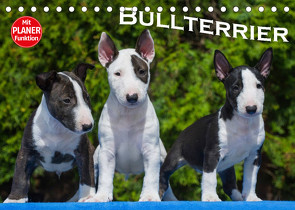 Bullterrier (Tischkalender 2022 DIN A5 quer) von Bullterrier