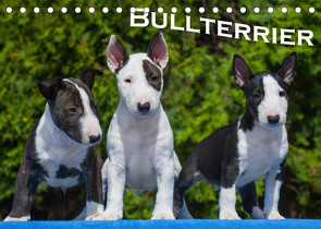 Bullterrier (Tischkalender 2022 DIN A5 quer) von Bullterrier