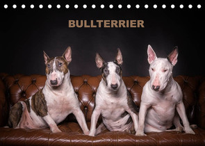 Bullterrier (Tischkalender 2022 DIN A5 quer) von Schubert,  Sven