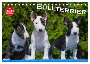 Bullterrier (Tischkalender 2024 DIN A5 quer), CALVENDO Monatskalender von Bullterrier,  Bullterrier