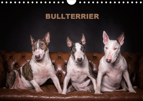 Bullterrier (Wandkalender 2020 DIN A4 quer) von Schubert,  Sven